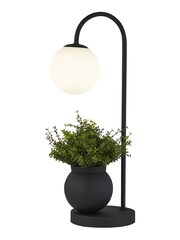 Searchlight Black Dee Desk Lamp - Image 3 of 4