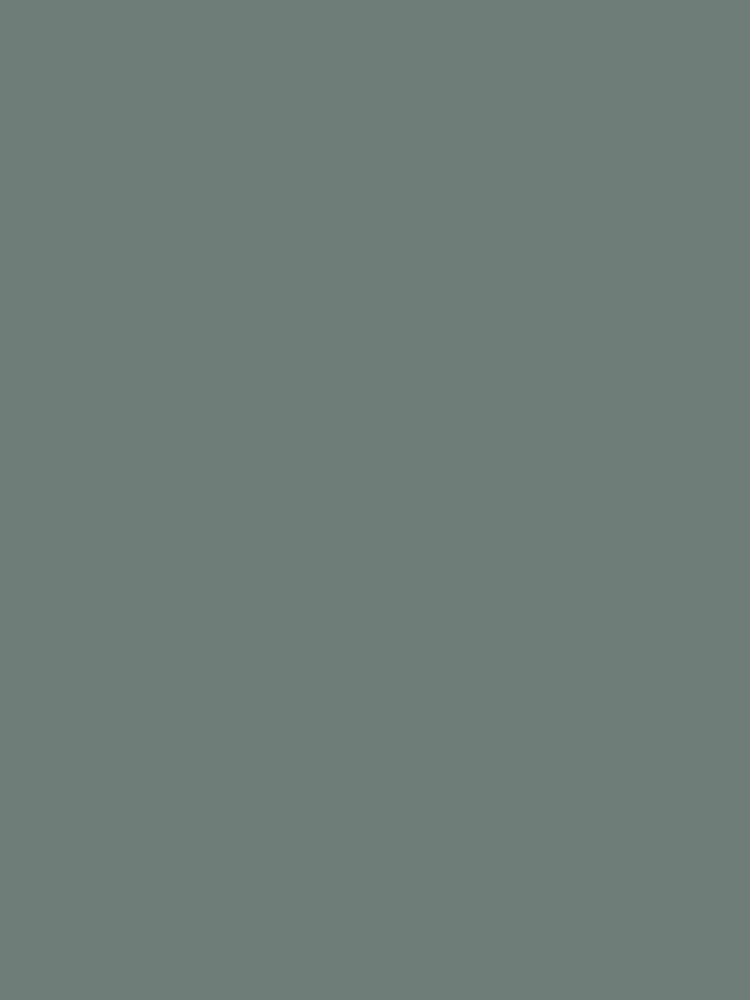 Laura Ashley Fern Green 2.5 Litre Kitchen And Bathroom Paint - Image 2 of 4