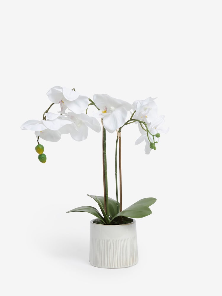 Orchidée artificielle effet naturel avec pot en céramique blanc - Image 3 of 4
