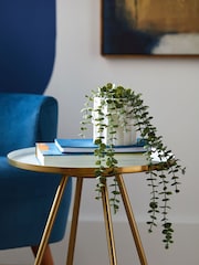 White Artificial Trailing Plant In Ribbed White Pot - Image 1 of 3