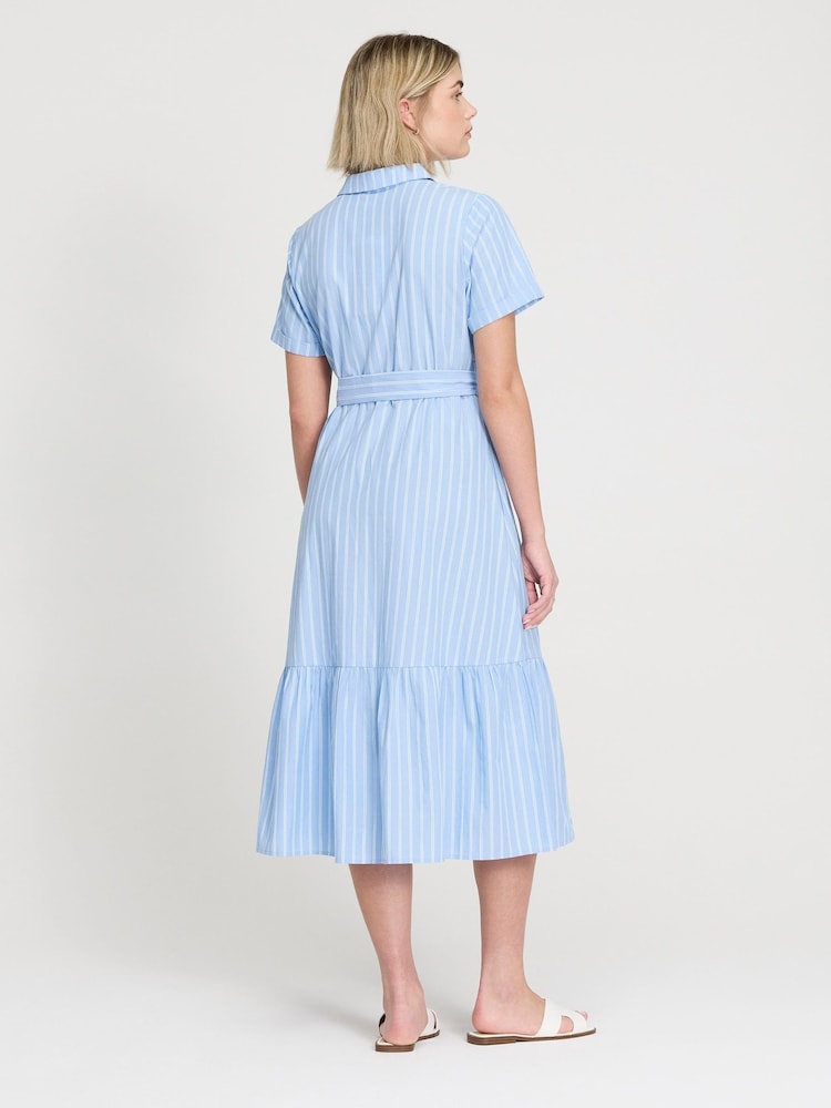 Finery Blue Aisling Stripe Cotton Midi Shirt Dress - Petite - Image 4 of 4 Finery Blue Aisling Stripe Cotton Midi Shirt Dress - Petite - Image 4 of 4