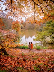 Virgin Experience Days Wakehurst Wild Botanic Garden For Two - Image 1 of 4