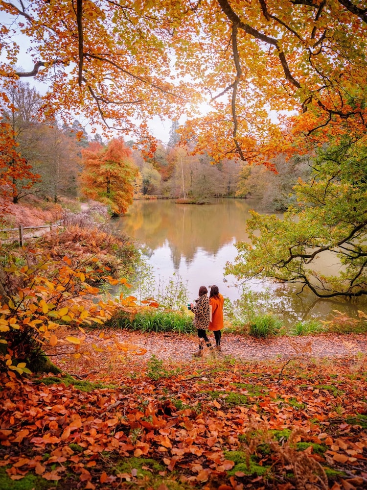 Virgin Experience Days Wakehurst Wild Botanic Garden For Two - Image 1 of 4