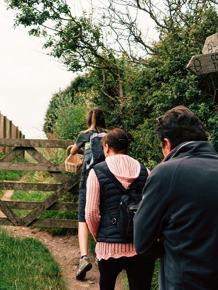 Virgin Experience Days Foraging and Cookery Lunch for Two - Image 2 of 4