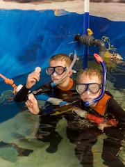 Virgin Experience Days Junior Snorkel Baby Sharks - Image 2 of 4