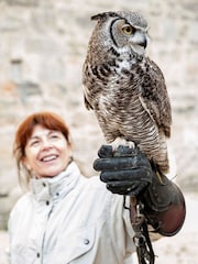 Virgin Experience Days Falconry For Two - Image 1 of 4