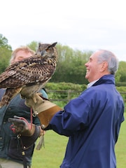 Virgin Experience Days Falconry For Two - Image 3 of 4