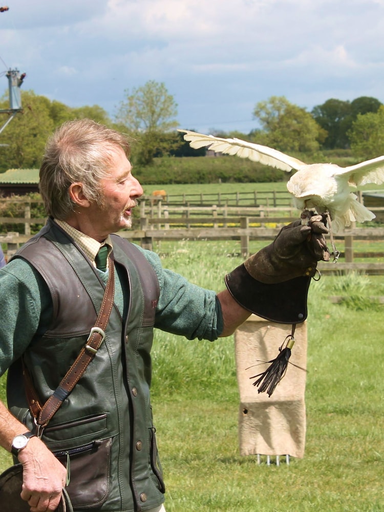 Virgin Experience Days Falconry For Two - Image 4 of 4