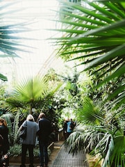 Virgin Experience Days Kew Garden Afternoon Tea for Two - Image 1 of 4