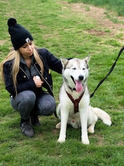 Virgin Experience Days Hike with Huskies for Two - Image 3 of 4