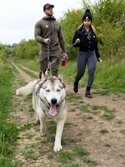 Virgin Experience Days Hike with Huskies for Two - Image 4 of 4