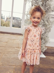 Champagne Sequin Embellished Mesh Party Dress (3mths-7yrs) - Image 1 of 8