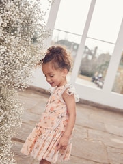 Champagne Sequin Embellished Mesh Party Dress (3mths-7yrs) - Image 4 of 8