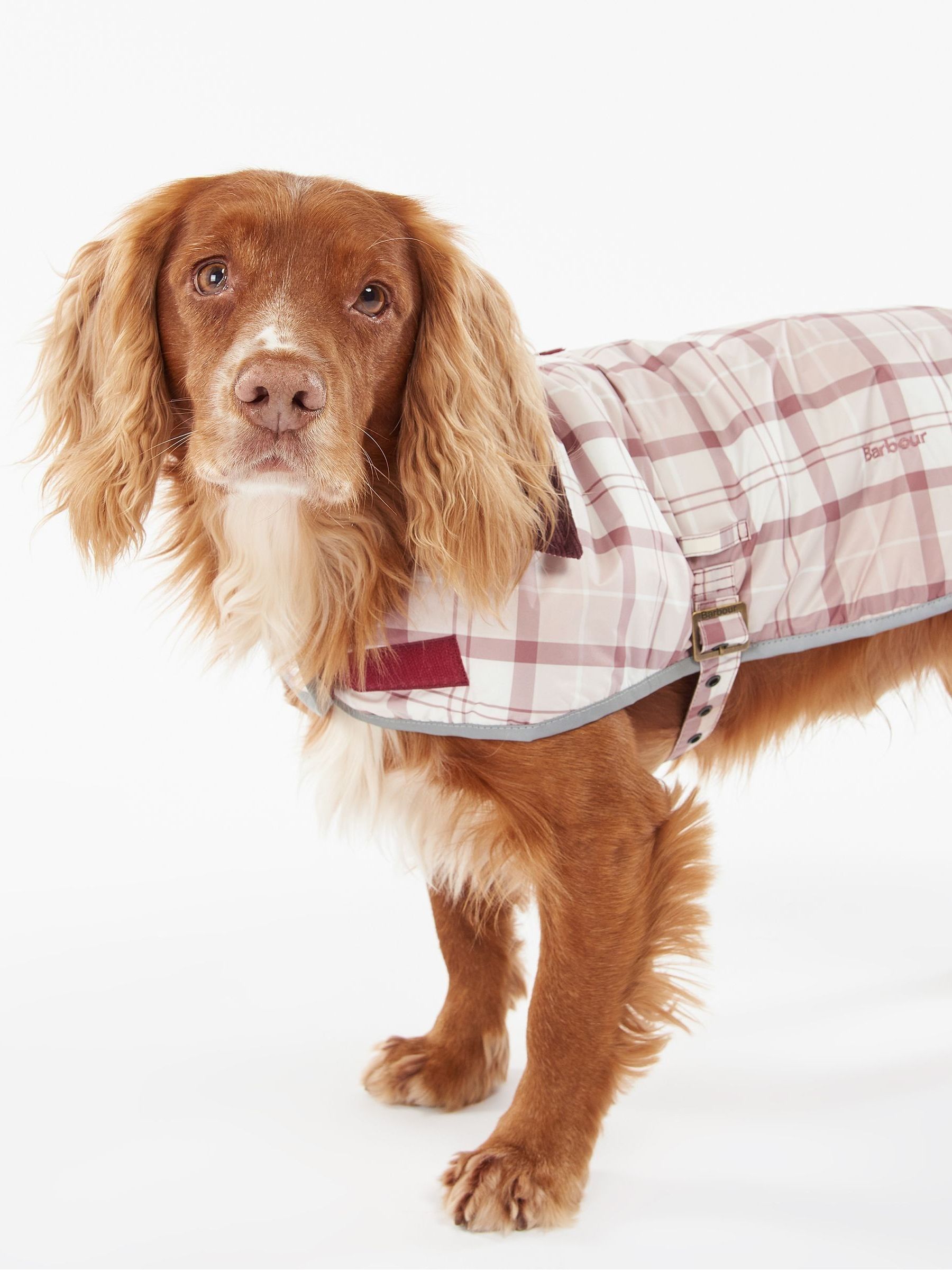 Buy Barbour Pink Unisex Tartan Wetherham Dog Coat from Next New Zealand