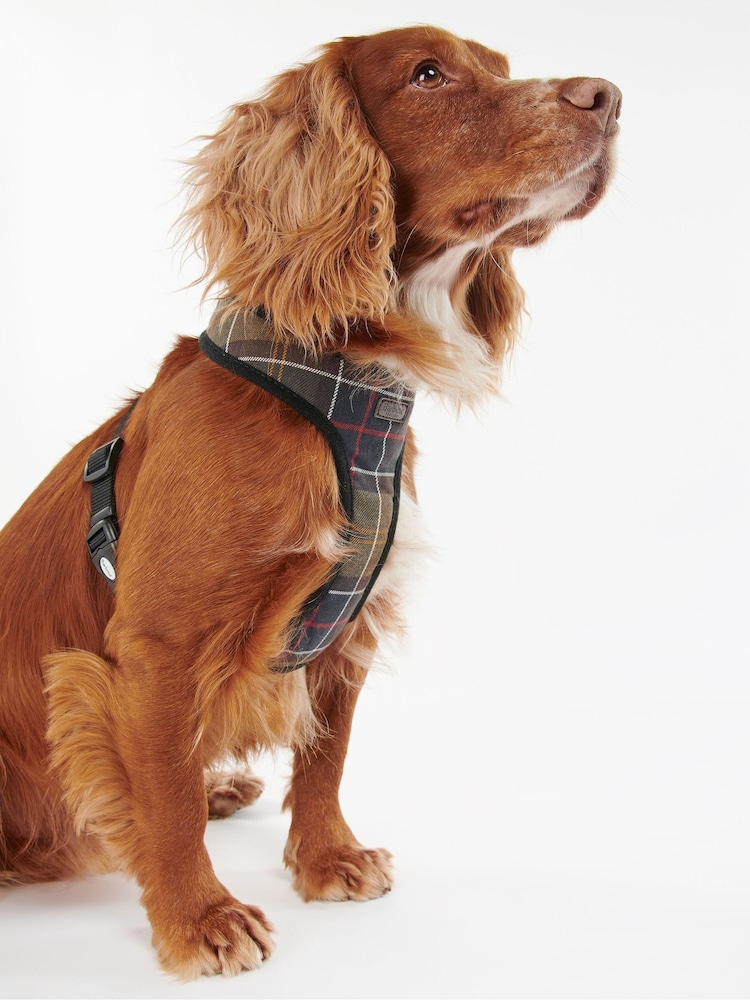 Barbour® Multi Classic Tartan Dog Harness - Image 1 of 11