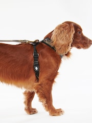 Barbour® Multi Classic Tartan Dog Harness - Image 3 of 11