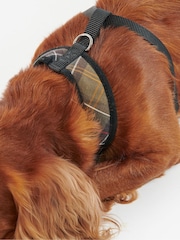 Barbour® Multi Classic Tartan Dog Harness - Image 4 of 11