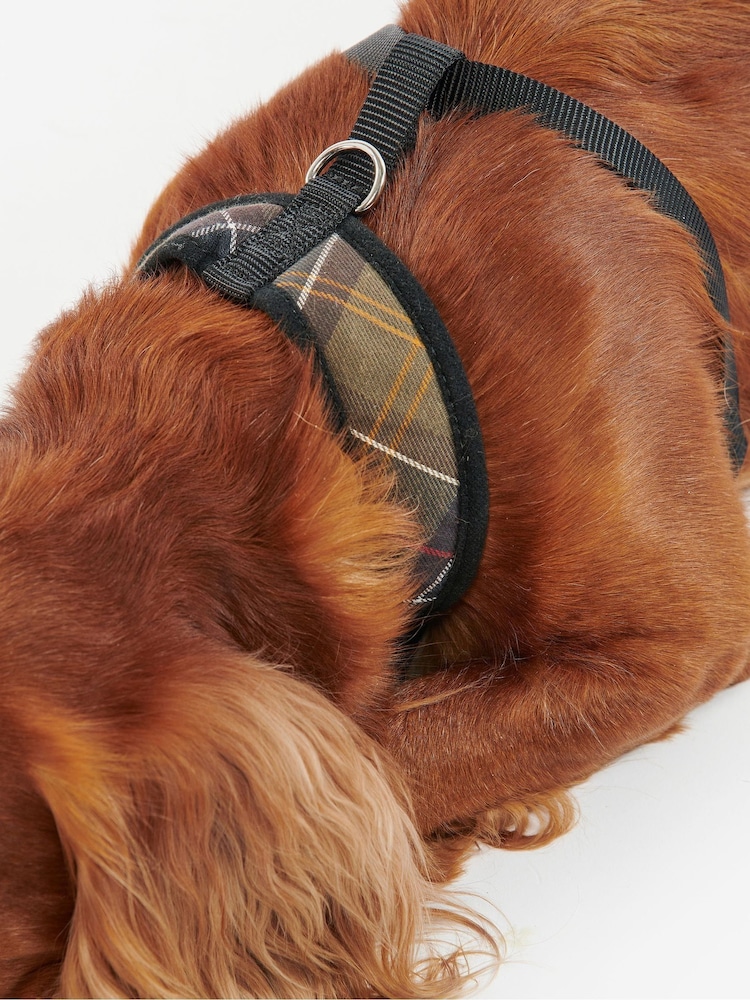 Tartan Dog Barbour Dog Harness Pink Medium Buy Barbour® Pink Dogs