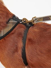 Barbour® Multi Classic Tartan Dog Harness - Image 5 of 11