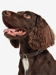Barbour® Multi Classic Tartan Webbing Dog Collar - Image 1 of 5