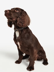 Barbour® Multi Classic Tartan Webbing Dog Collar - Image 2 of 5