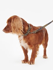Barbour® Multi Classic Tartan Webbing Dog Lead - Image 2 of 7