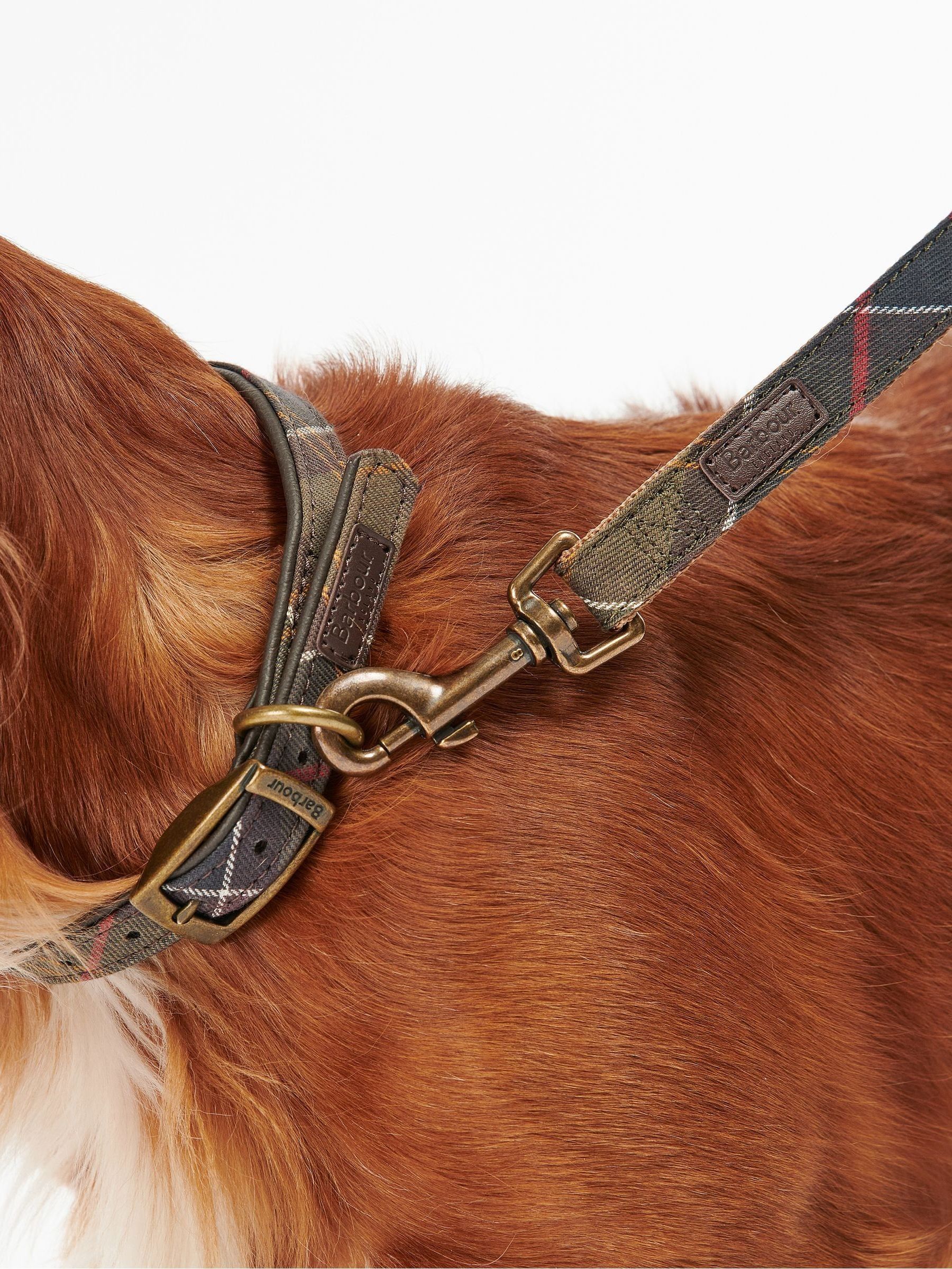 Buy Barbour Multi Classic Tartan Webbing Dog Lead from Next Malta