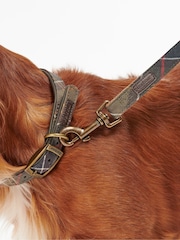 Barbour® Multi Classic Tartan Webbing Dog Lead - Image 3 of 7