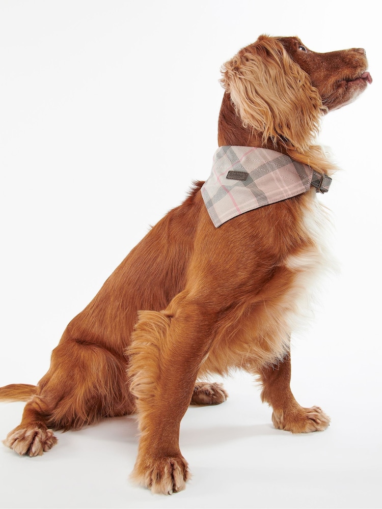 Barbour® Pink 100% Cotton Tartan Dog Bandana - Image 1 of 6