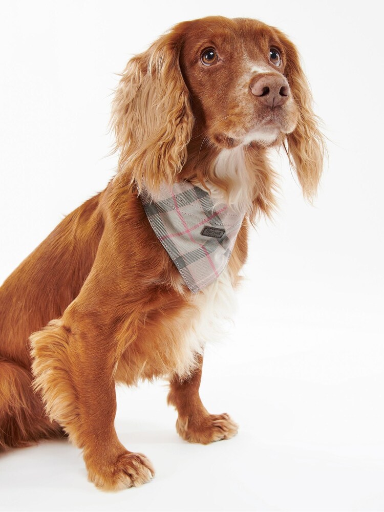 Barbour® Pink 100% Cotton Tartan Dog Bandana - Image 2 of 6
