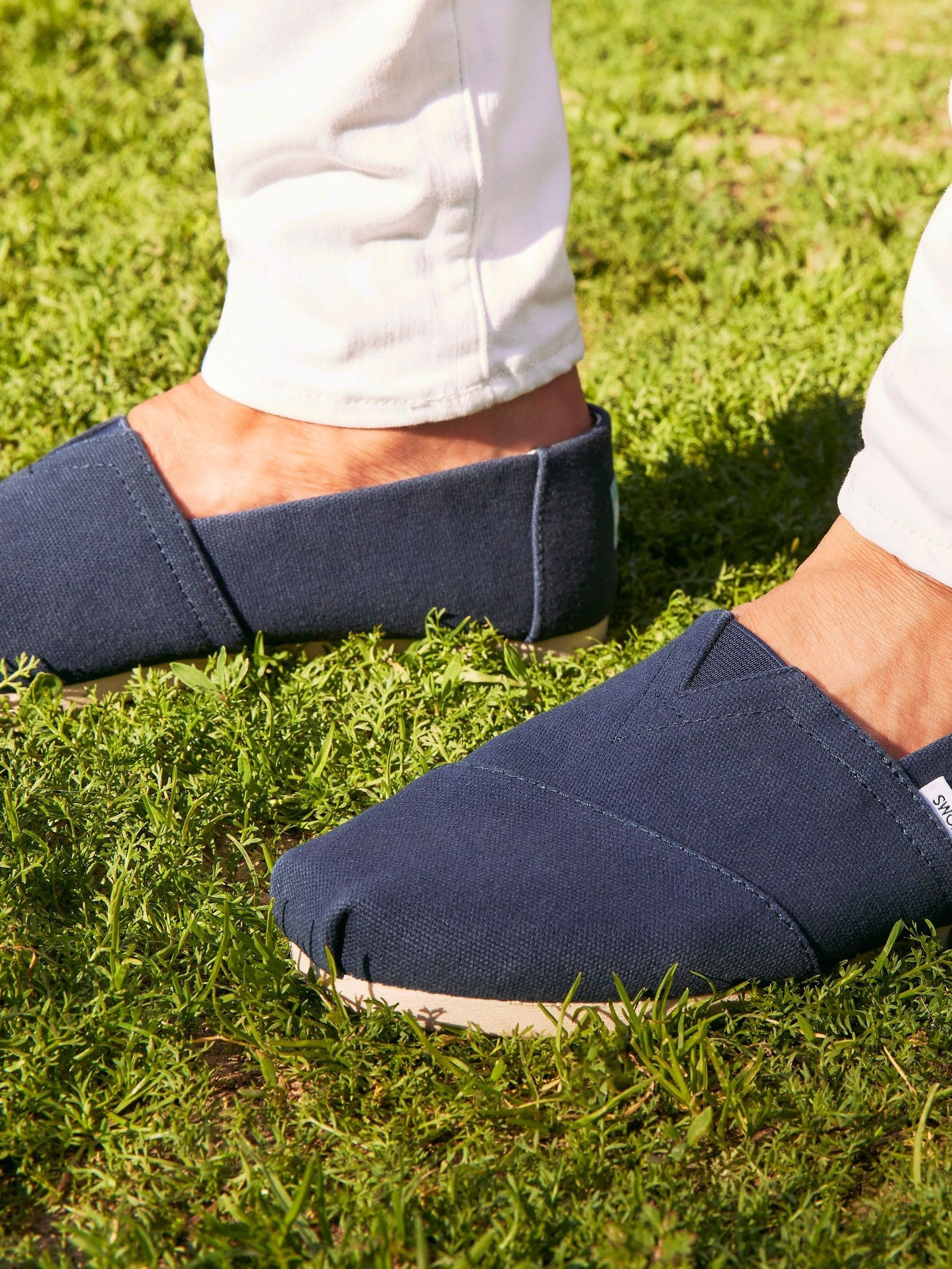 Toms classic alpargata 2025