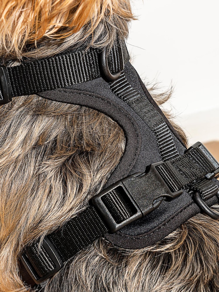 Wild One Black Black Harness - Image 2 of 3
