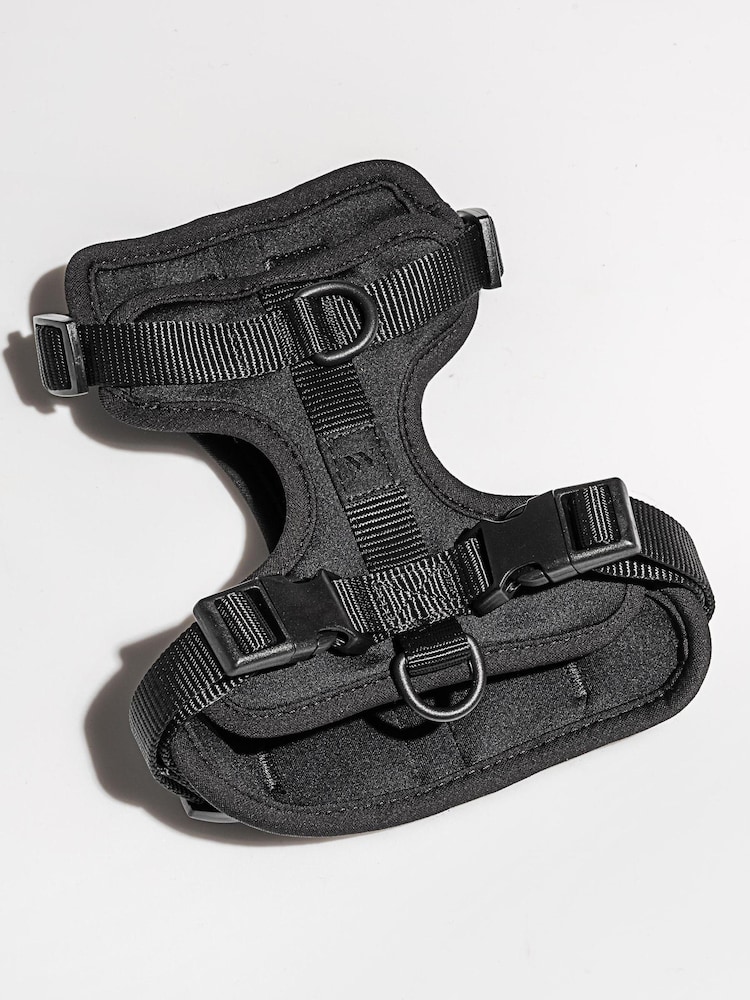 Wild One Black Black Harness - Image 3 of 3