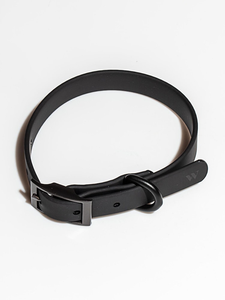 Wild One Black Black Collar - Image 1 of 1