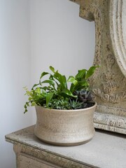 Ivyline Gold Garden Luxe Bowl - Image 2 of 4
