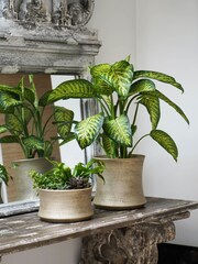 Ivyline Gold Garden Luxe Bowl - Image 3 of 4