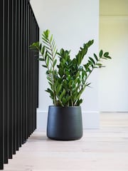 Ivyline Black Garden Large Akemi Planter - Image 1 of 3