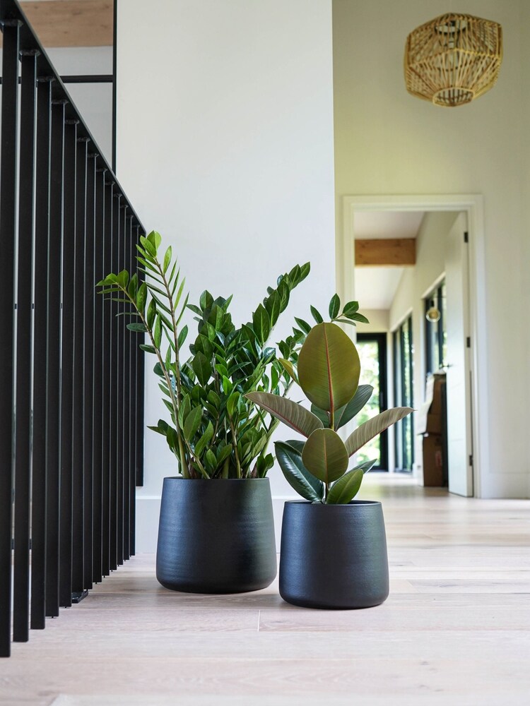 Ivyline Black Garden Large Akemi Planter - Image 2 of 3