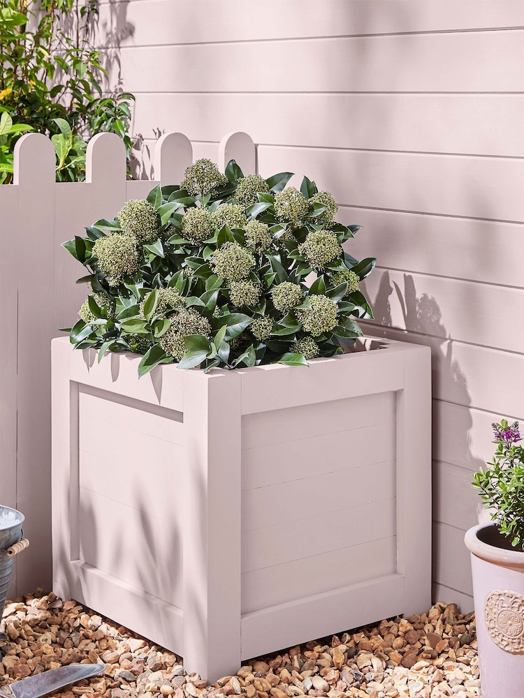 Laura Ashley Blush Pink Garden 2.5Lt Paint - Image 2 of 5