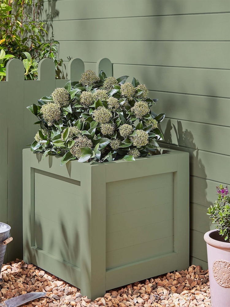 Laura Ashley Hedgerow Green Chalk Garden 750ml Paint - Image 1 of 5 Laura Ashley Hedgerow Green Chalk Garden 750ml Paint - Image 1 of 5