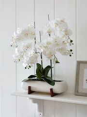 White Extra Large Real Touch Orchid In White Pot With Wooden Stand - Image 1 of 3