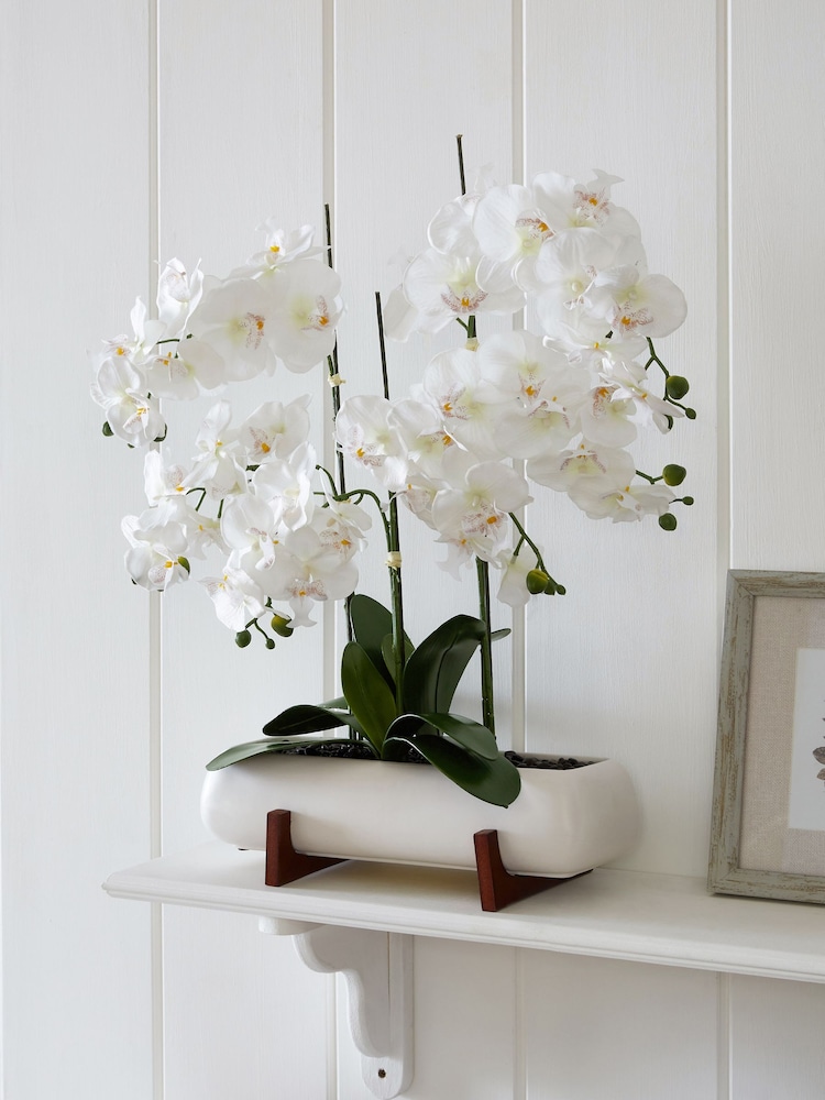 White Extra Large Real Touch Orchid In White Pot With Wooden Stand - Image 1 of 3