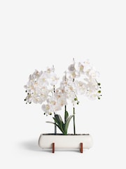 White Extra Large Real Touch Orchid In White Pot With Wooden Stand - Image 2 of 3