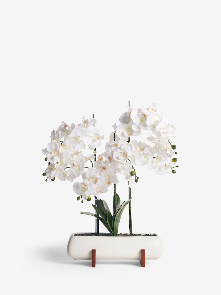 White Extra Large Real Touch Orchid In White Pot With Wooden Stand - Image 2 of 3
