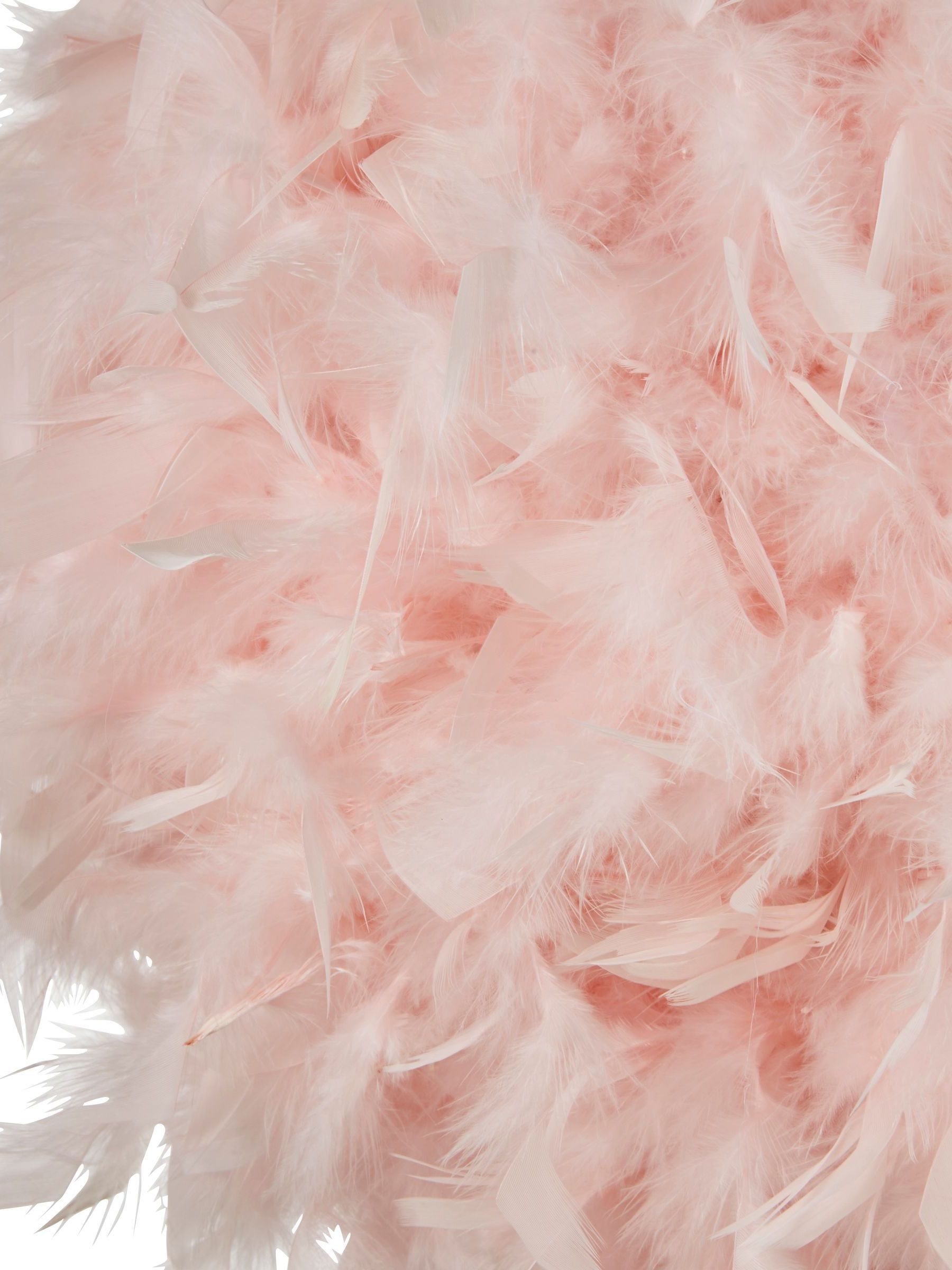 Pink feather light shade next top