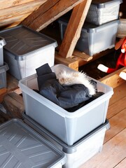 Orthex Set of 2 Grey Smartstore 33L Dry Water Resistant Storage Boxes - Image 4 of 5