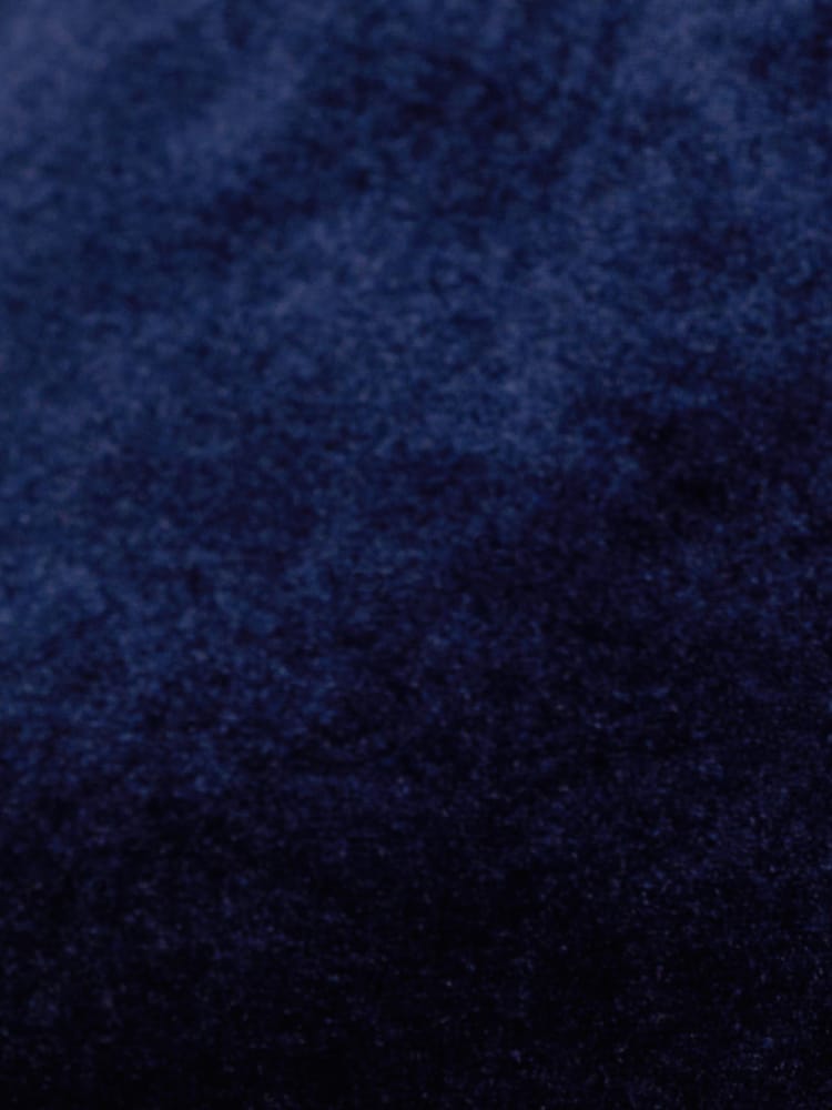 Azul - Vestido corto de terciopelo con mangas acampanadas de Adrianna Papell - Imagen 7 de 7 Azul - Vestido corto de terciopelo con mangas acampanadas de Adrianna Papell - Imagen 7 de 7