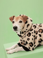 Animal Print Dog Hoodie - Image 2 of 8