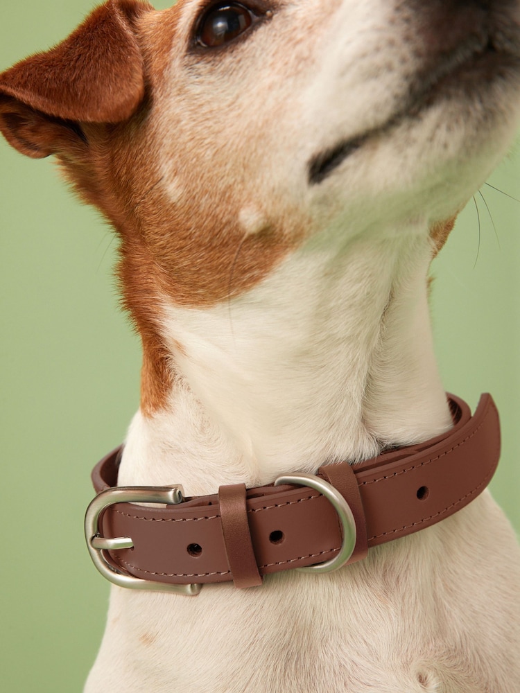 Tan Brown Leather Dog Collar - Image 2 of 5