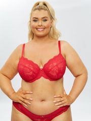 Ann Summers Red Sexy Lace DD+ Bra - Image 3 of 3